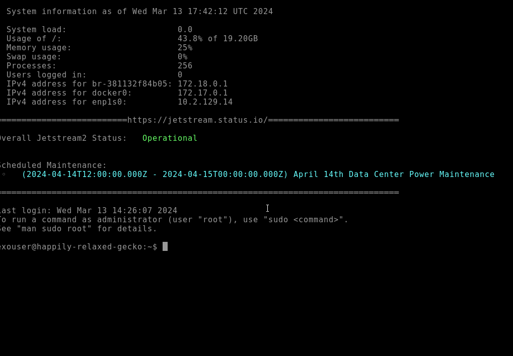 Web Shell Interface